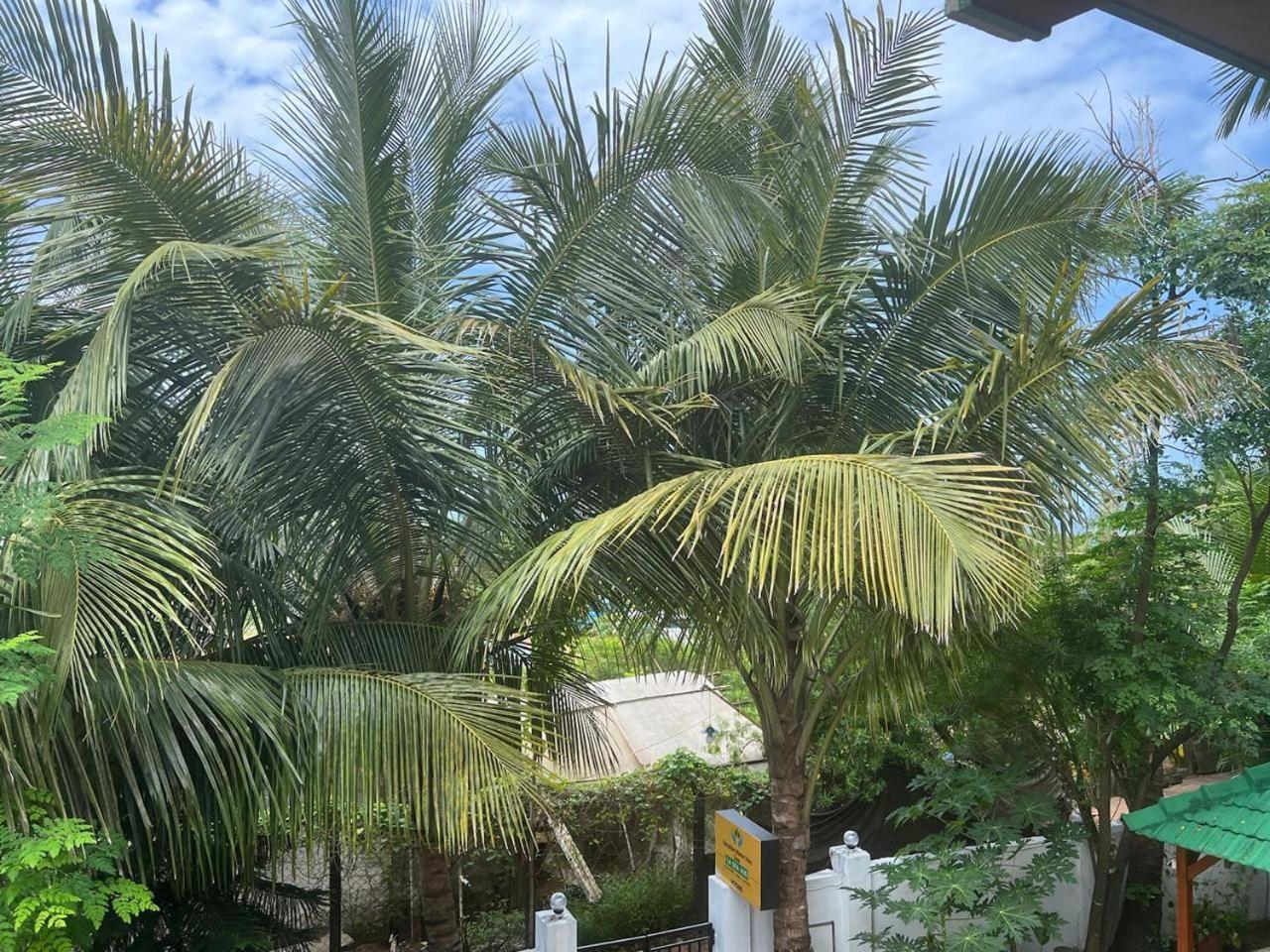 La Sea Vue Goa
